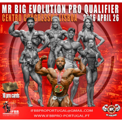 PM  -  MR BIG EVOLUTION PRO...