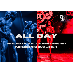 DIA TODO - BIG FORCE NPC...